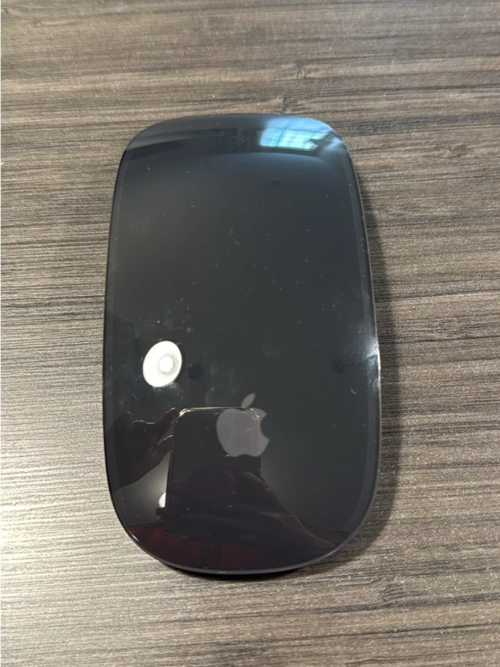 Apple Wireless Magic Mouse in Glossy Black Finish